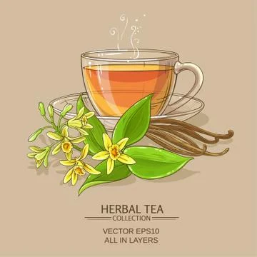 Vanilla tea illustration Stock Illustration