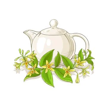 Vanilla tea illustration Stockillustratie