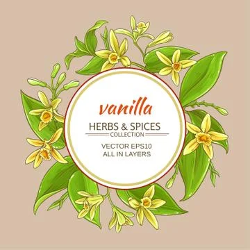Vanilla vector frame Illustration