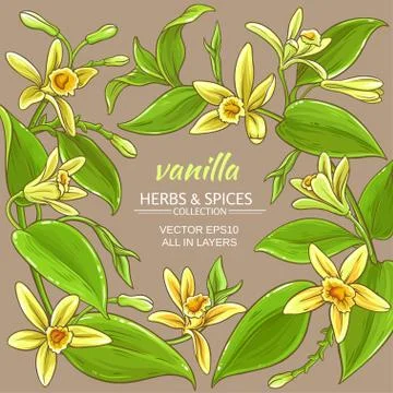 Vanilla vector frame Illustration