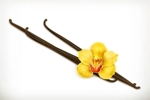 Vanilla, vector icon Stock Illustration