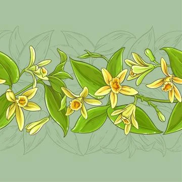 Vanilla vector pattern Stock Illustration