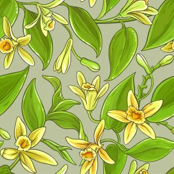 Vanilla vector pattern Illustrazione stock