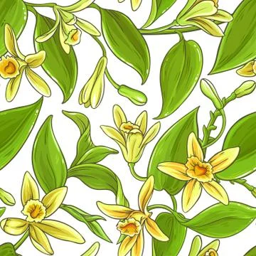 Vanilla vector pattern Stock Illustration