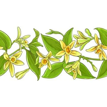Vanilla vector pattern Stock Illustration