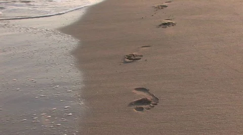 Vanishing footprints on the beach Vidéo 447593