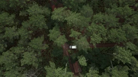 Vanlife in the forest Stock Footage 235710651