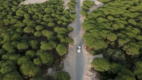 Vanlife on the road Stock Footage 234729743