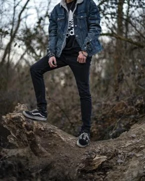 Vans Old Skool Stock Photos
