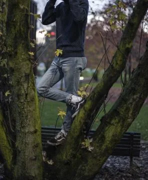Vans Stock Photos