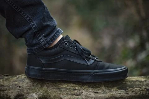 Vans Stock Photos