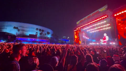 Vans Warped Tour Crowd Pan Nighttime Concert Performance Stock Footage 314236643