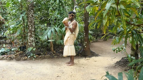 Vanuatu blowing conch shell by forest Stock Footage 123138104