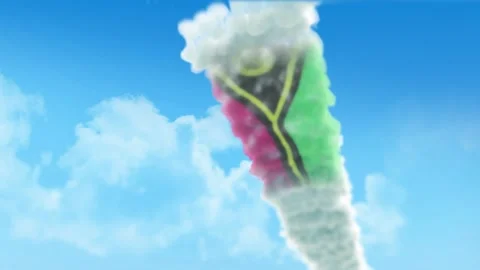 Vanuatu Flag 3D Render Animation Created with Colored Smoke Trails by Aircra 스톡 동영상 332313542
