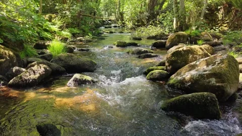 Vaos River Rushing Through Rocks Stock-Footage 336365876