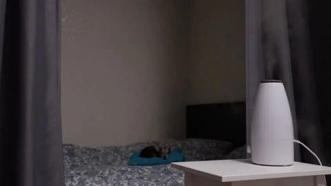Vaporizing water, ultrasonic air diffuser in the bedroom, preventing drynes.. Video stock 264091211