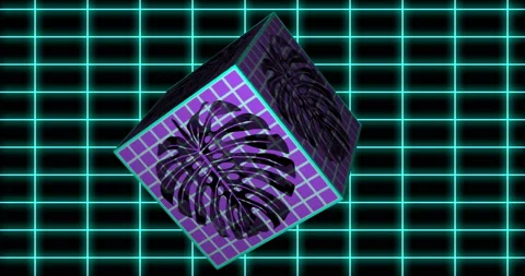 Vaporwave background with grid and glitched monstera on rotating 3d cube. Loop. Stock Footage 119656243