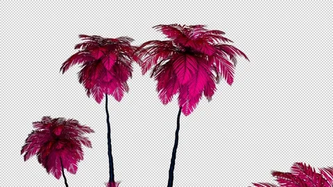 Vaporwave Vision - Palms Video stock 136660329