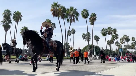 Vaqueros Ride Dancing Horses through the Day of the Dead Parade in Long Beach 動画素材 255313534