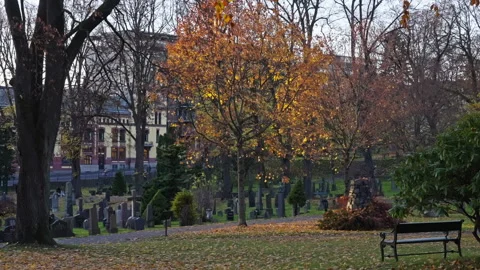 Vår frelsers gravlund during fall in Oslo, Norway. 28th October 2024 Stock Footage 289790599