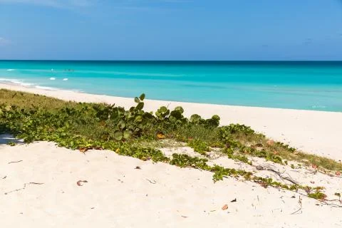 Varadero beach Stock Photos