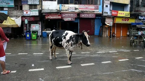 Varanasi Flood  Stock Footage 116807656