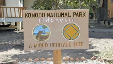 Varanus komodoensis - Varan Comodo Stock Footage 103605371