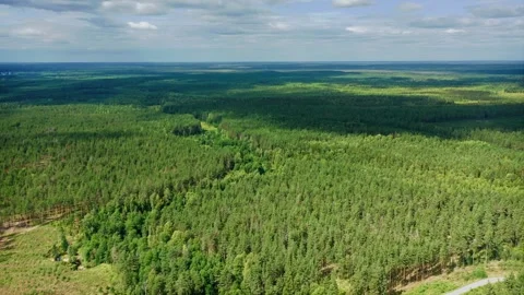 Variable cloud cover, shadows from the clouds lie on the dense forest stretching 库存影片 257782166