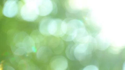 Variable defocused summer sunny green background with bokeh and glares in trees Stock Footage 95043087