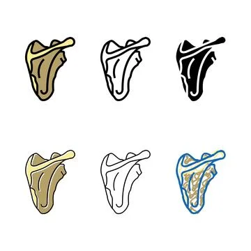 Variants scapula bone color icon vector Stock Illustration