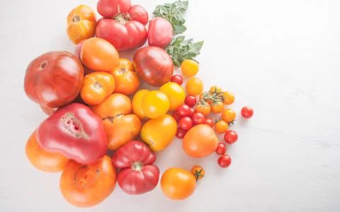 Variation of fresh ripe tomatoes Stock Photos