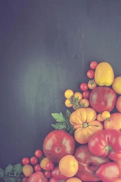 Variation of fresh ripe tomatoes Stock Photos