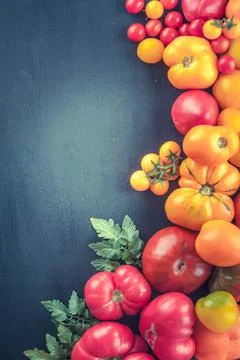 Variation of fresh ripe tomatoes Stock-Fotos