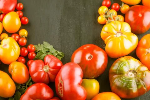 Variation of fresh ripe tomatoes Stock-Fotos