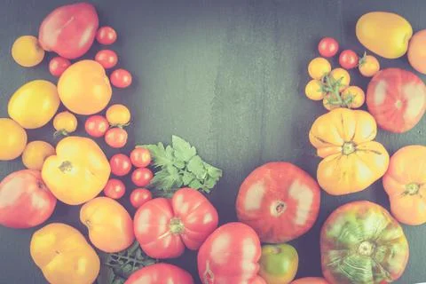 Variation of fresh ripe tomatoes Stock Photos