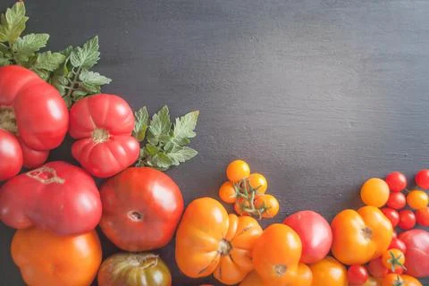 Variation of fresh ripe tomatoes Stock Photos