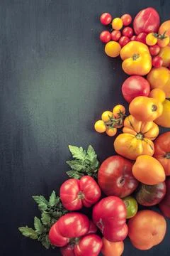 Variation of fresh ripe tomatoes Stock Photos