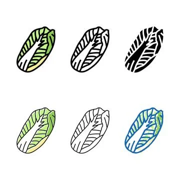 Variations chinese cabbage color icon vector Stock Illustration