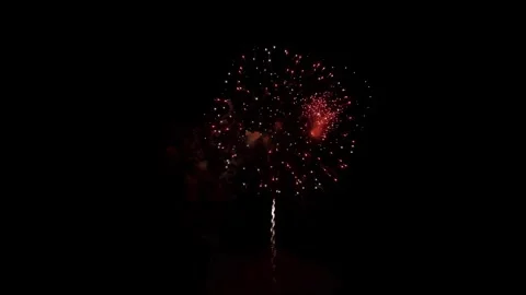 Varied colorful fireworks explode in the dark night sky Stock Footage 329673862