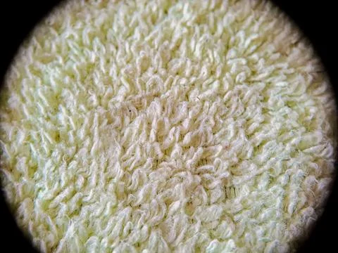 Varied details and textures, made of a very plush fabric. Stock Photos