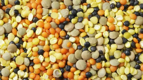 Varied types of Lentils Stock Footage 62849539