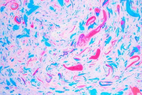 Variegated colored background, paint particles on white. Dye stains on the Stock Photos