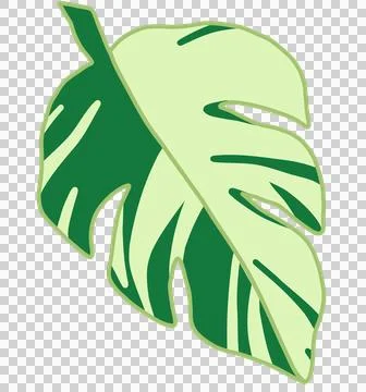 Variegated monstera leaf flat design, green botanical element Stock Illustration