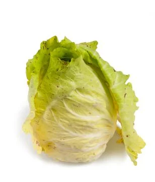 Variegated radicchio Stock Photos