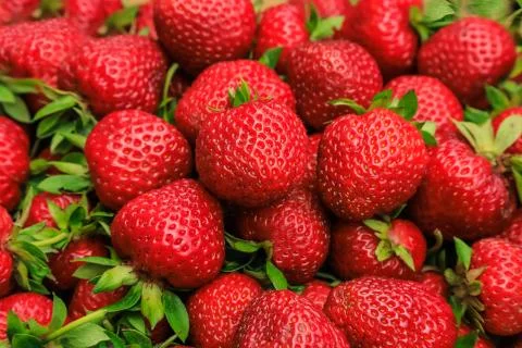 Varietal red strawberries close-up, beautiful background. Stock Photos