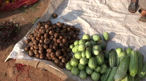 Varieties of cucumbers and other vegetables in the Indian market Stock Footage 68975013