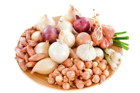 Varieties of onions Stock Photos