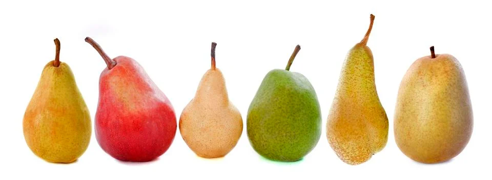 Varieties of pears Stock Photos