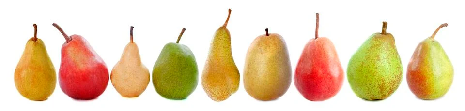 Varieties of pears Stock-Fotos