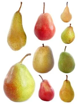 Varieties of pears Stock Photos